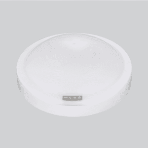 LED-Emergency-Ceiling-EcoMax--300x300