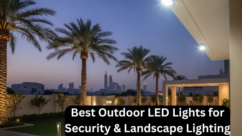 “LED floodlights illuminating a backyard for security and landscape enhancement.”
