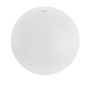 Detector-II-350-2-1-300x300